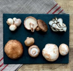 Variety of Mushrooms on a board