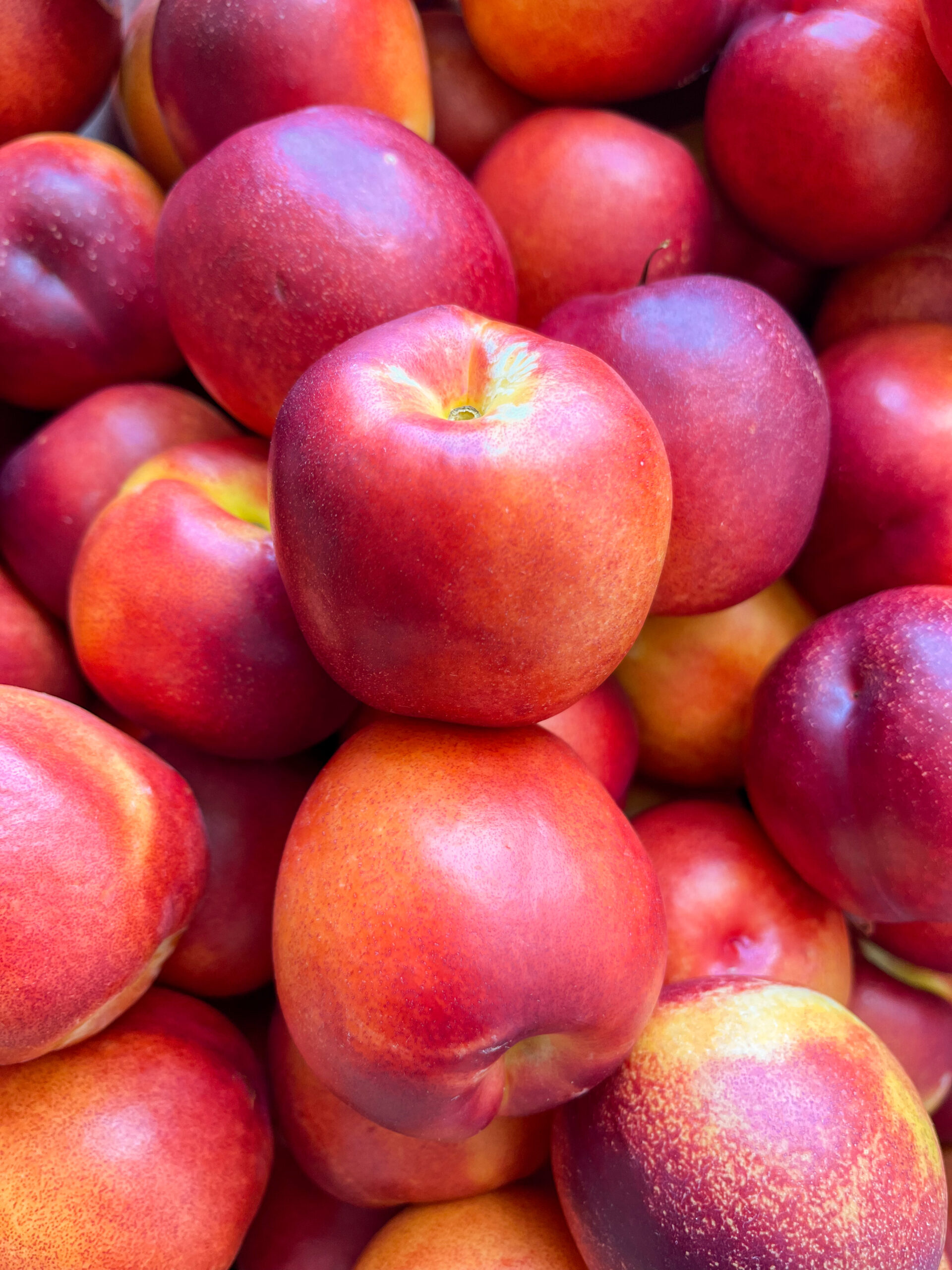 Homepage California Nectarine 1 scaled