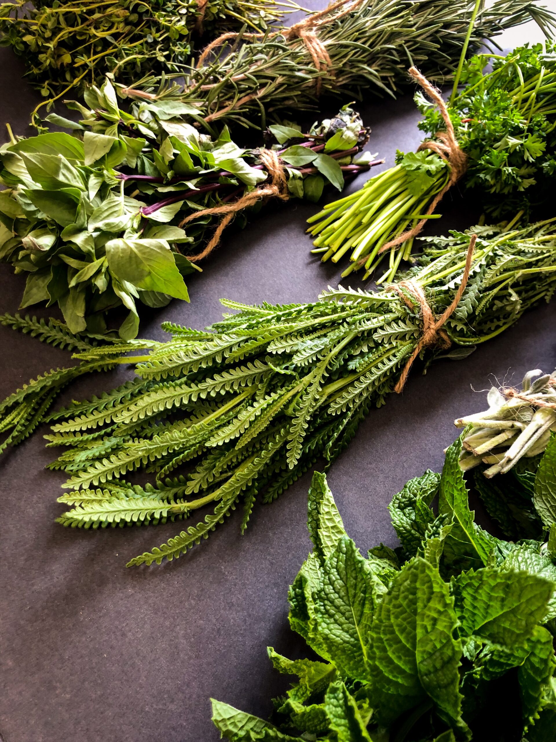 California Parsley, Sage, Rosemary, Thyme, Dill, Lavendar, Mint, All About Herbs