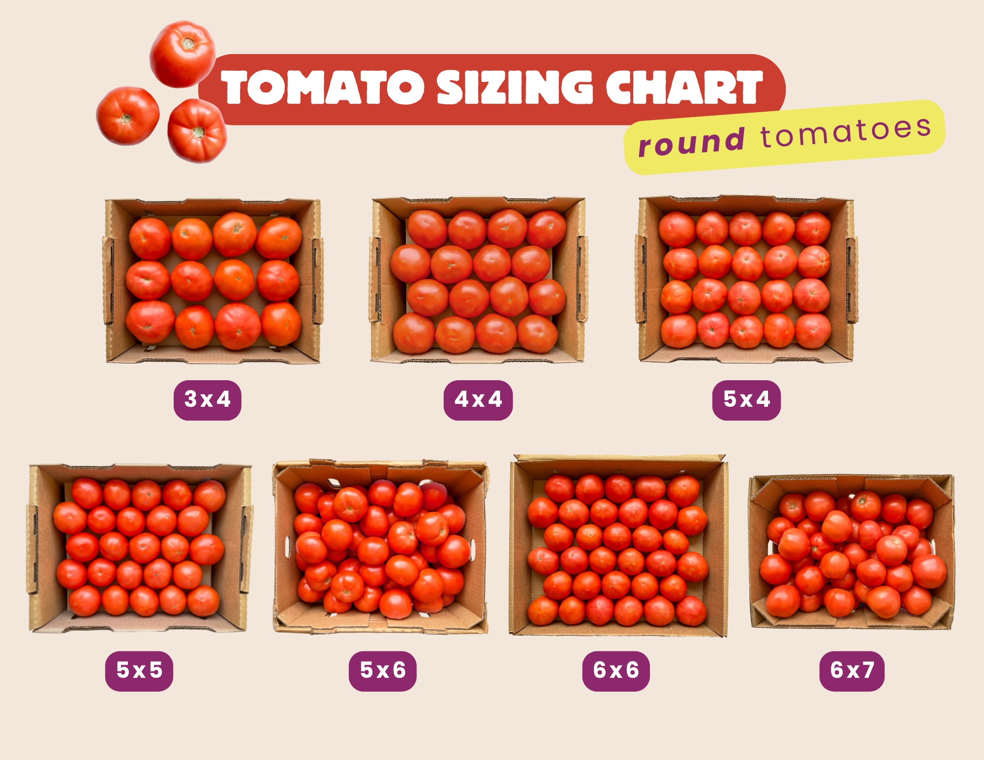 Tomato Size Chart - Know Your Tomatoes tomato size chart, tomato sizing chart