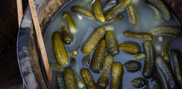 KZ Pickles