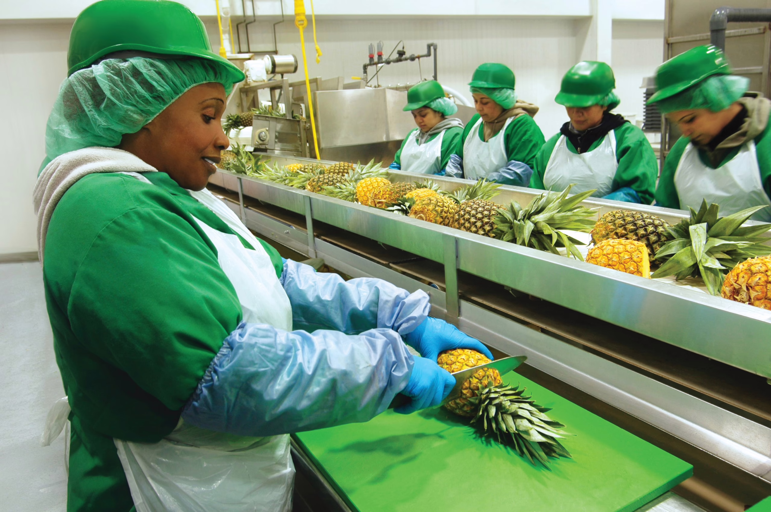 fresh-cut produce, food safety