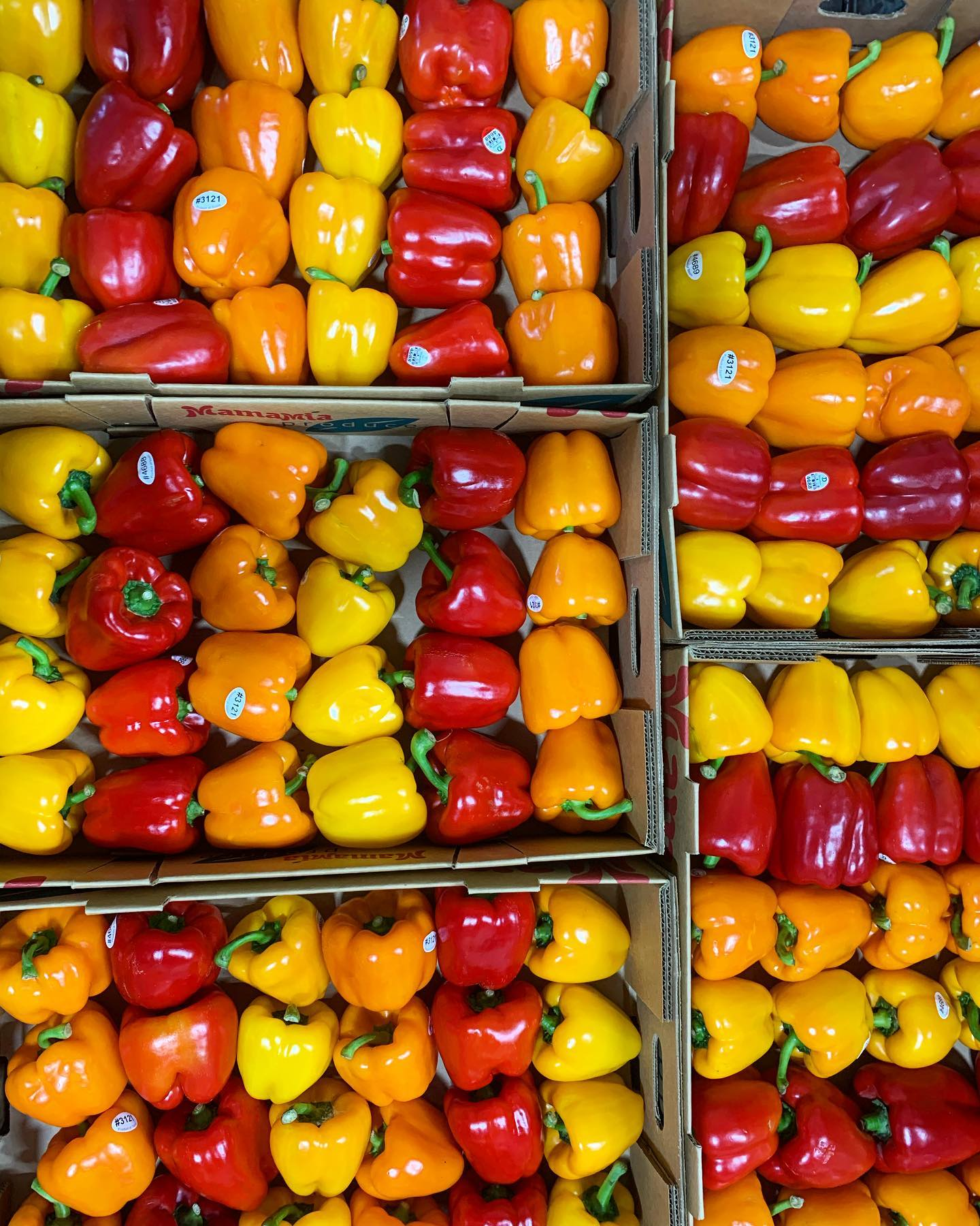 bell peppers, sweet peppers, pepper identification chart