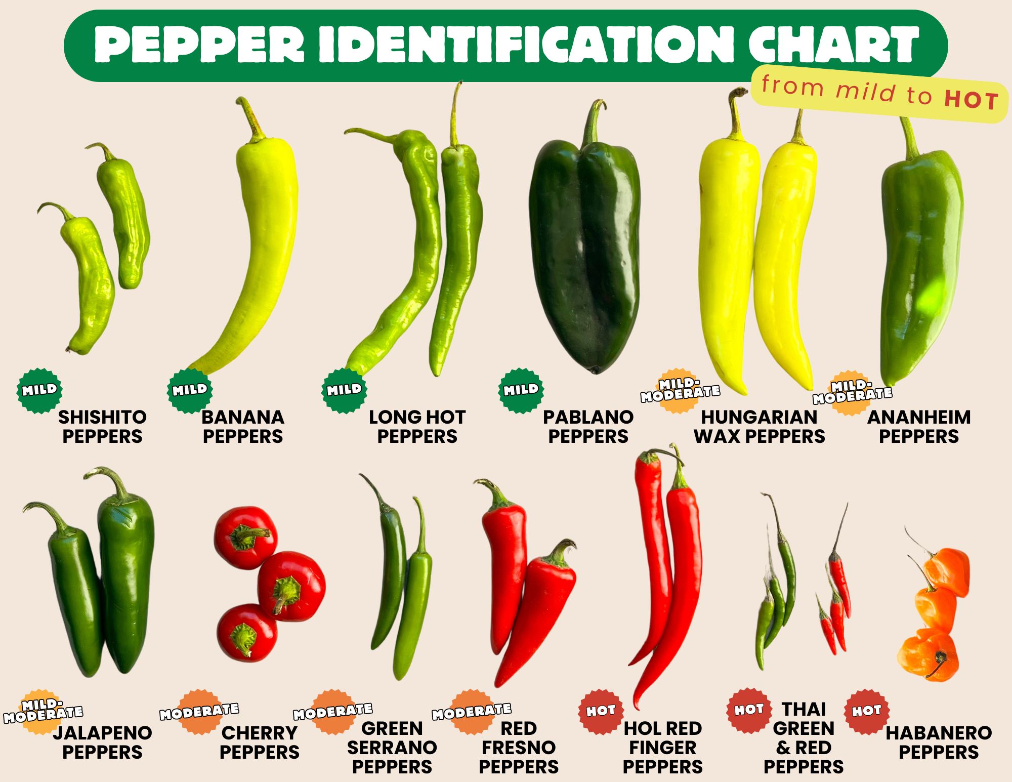 Types Of Chili Peppers Chart Types Of Chili Peppers Chart