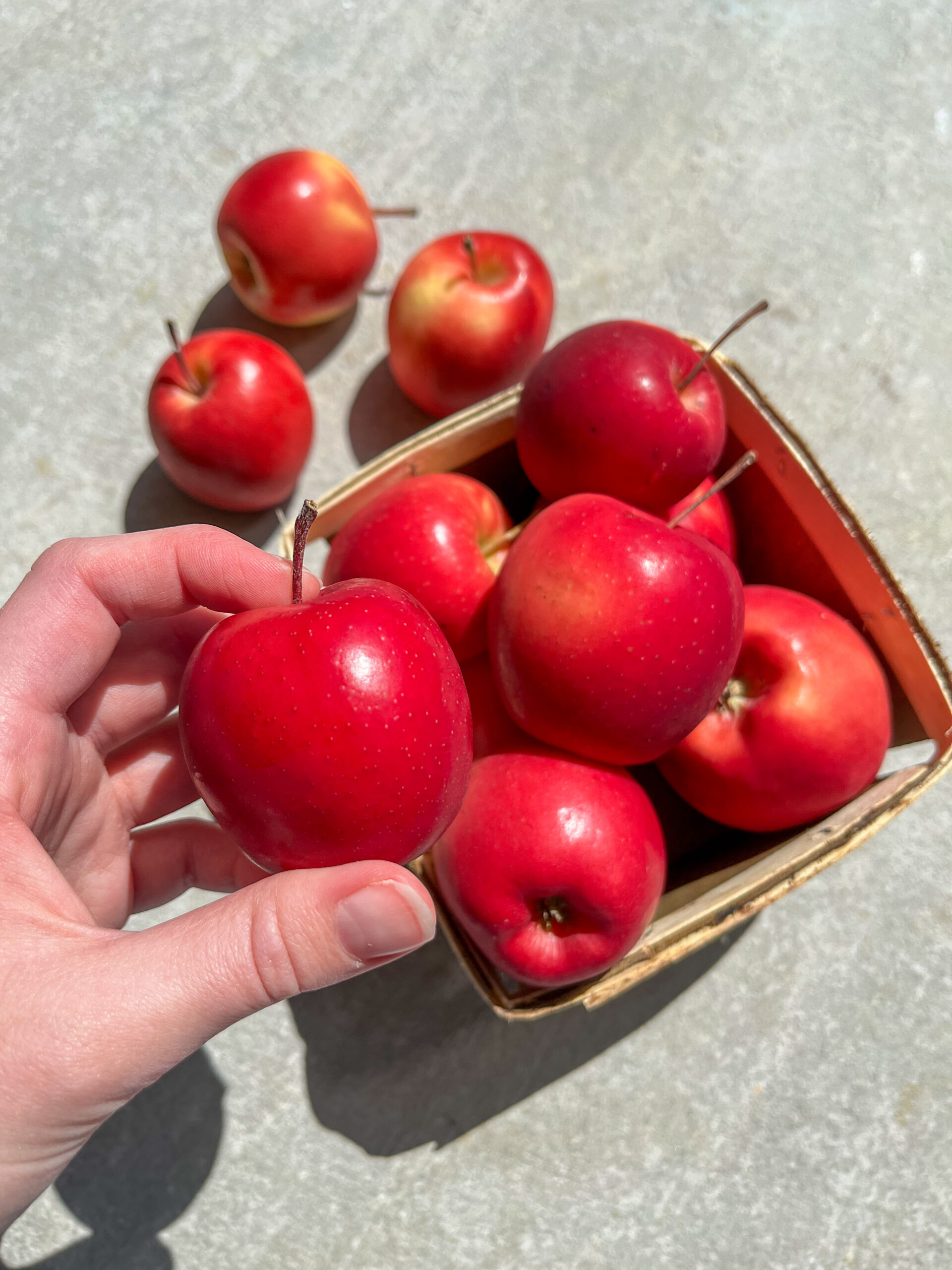 best tasting apples, local apples, rockit apples