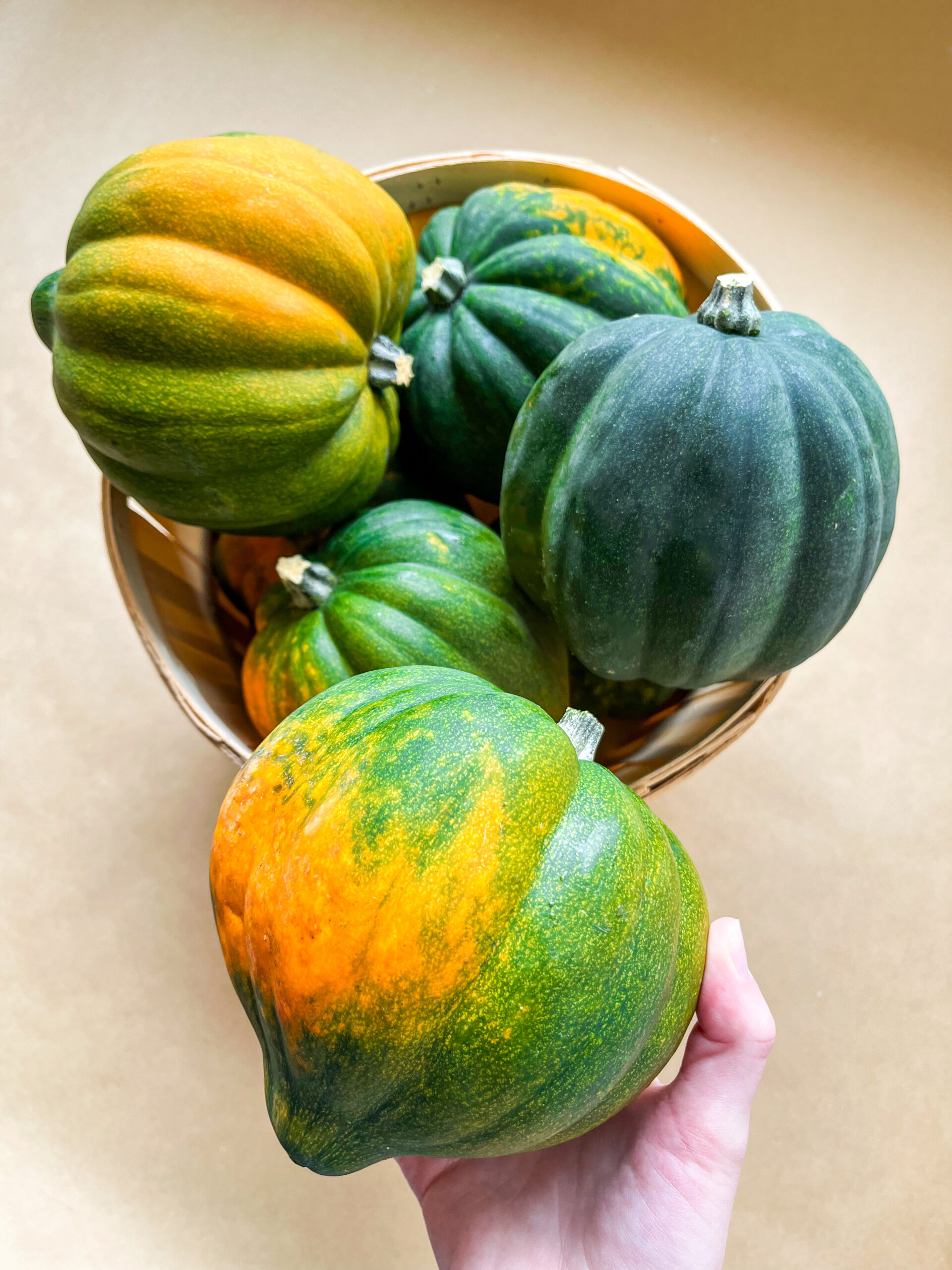 Fall Squash: Acorn Squash