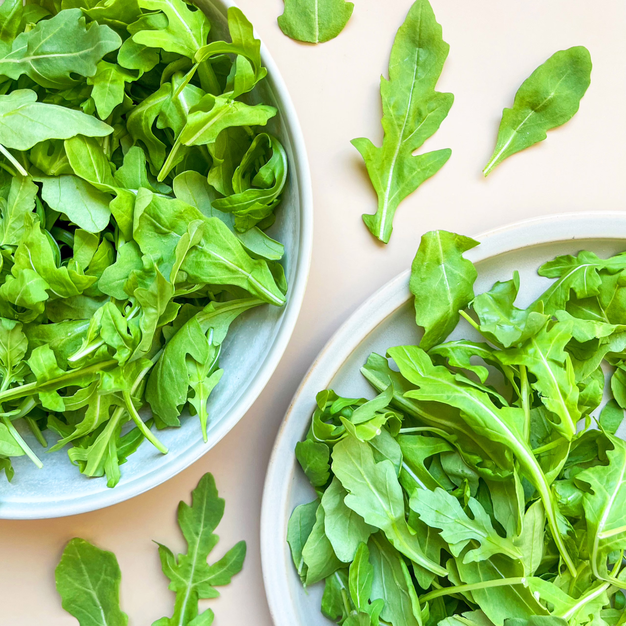 B&W Quality Growers: Excellence in Leafy Greens b&w arugula