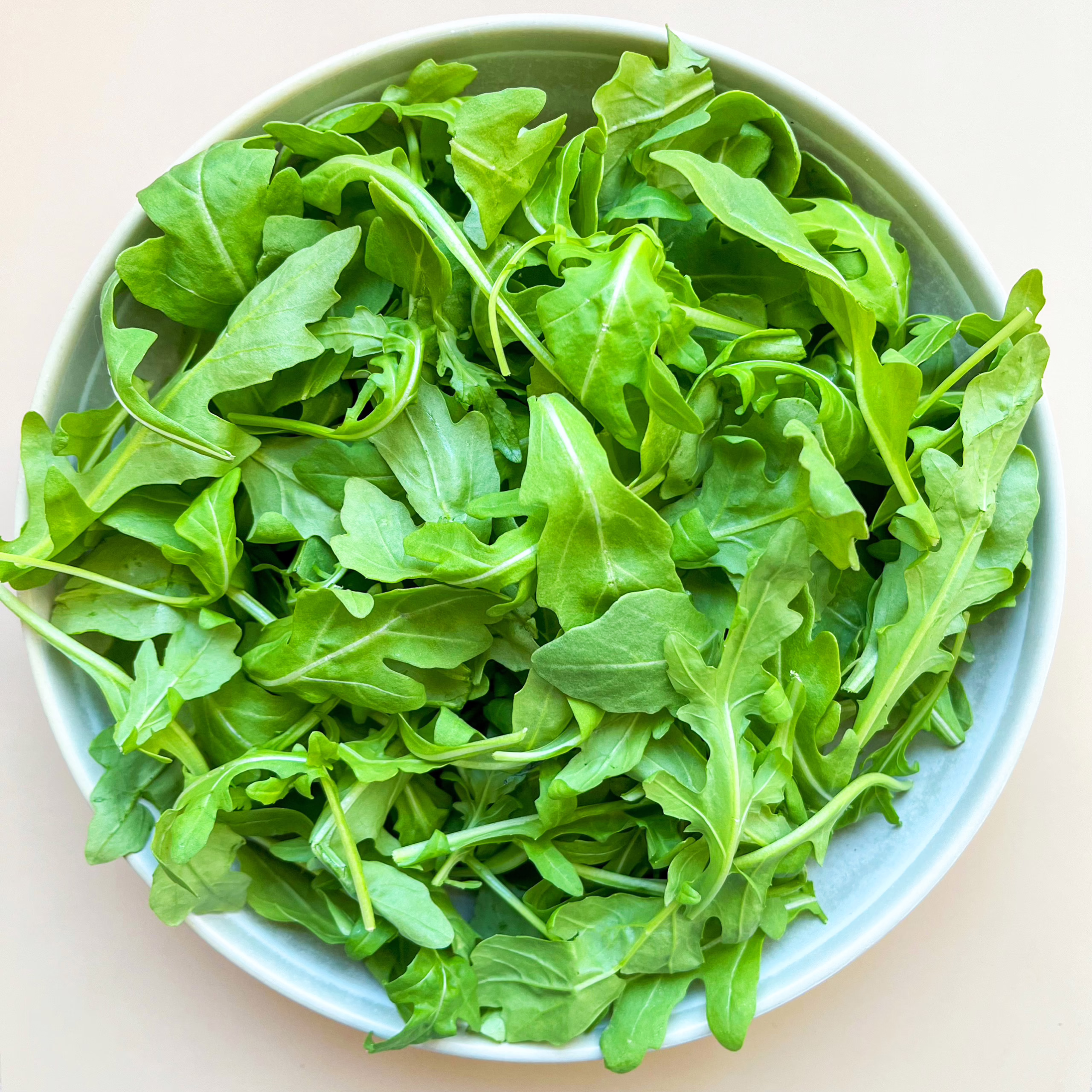 B&W Arugula. A white bowl filled with fresh arugula leaves on a light surface.
