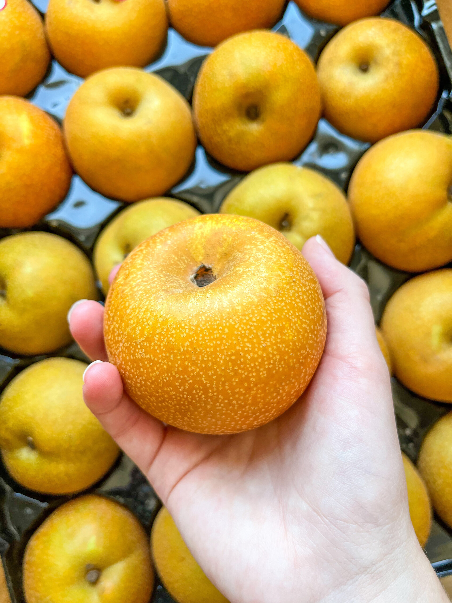 asian pears 2 edit 1 scaled