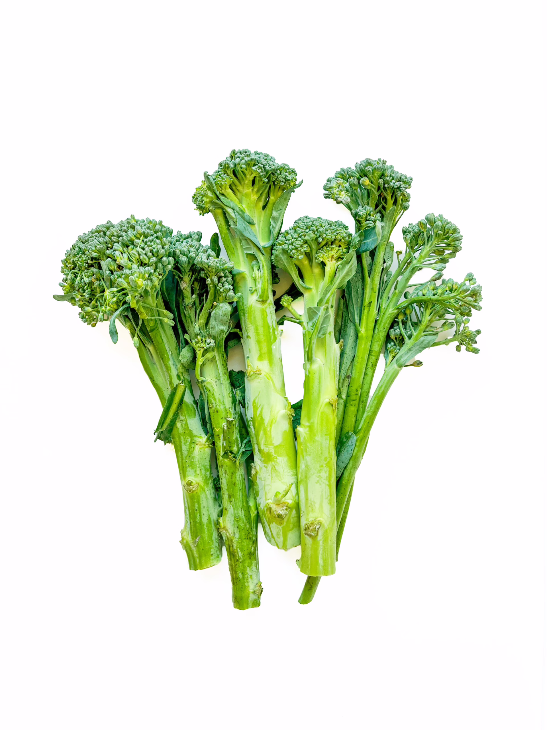 A bunch of fresh broccolini stalks with green florets and stems, arranged on a plain white background.