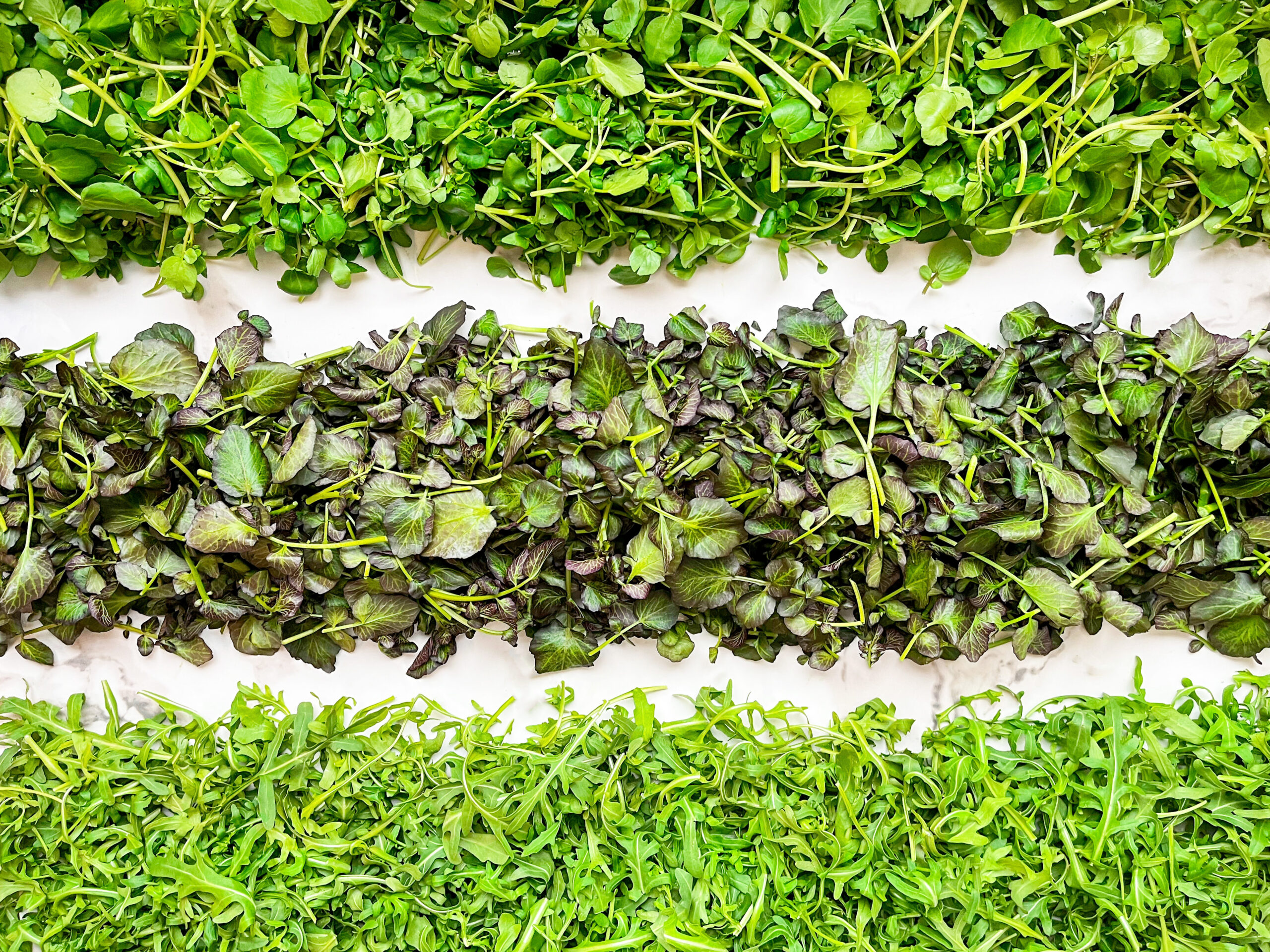 bw 2026 2 horizontal scaled