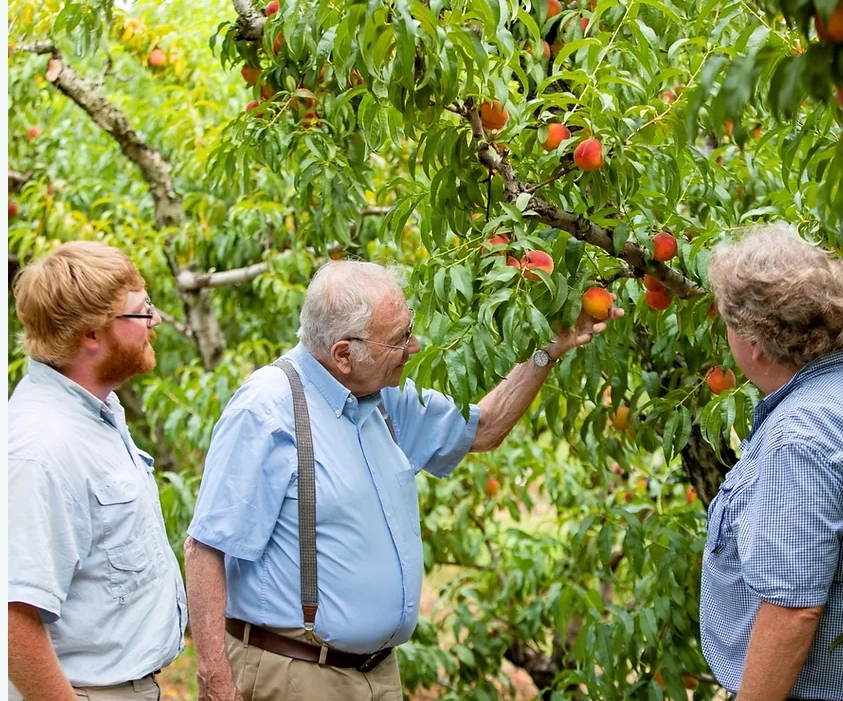 best tasting apples, local apples, crown orchards