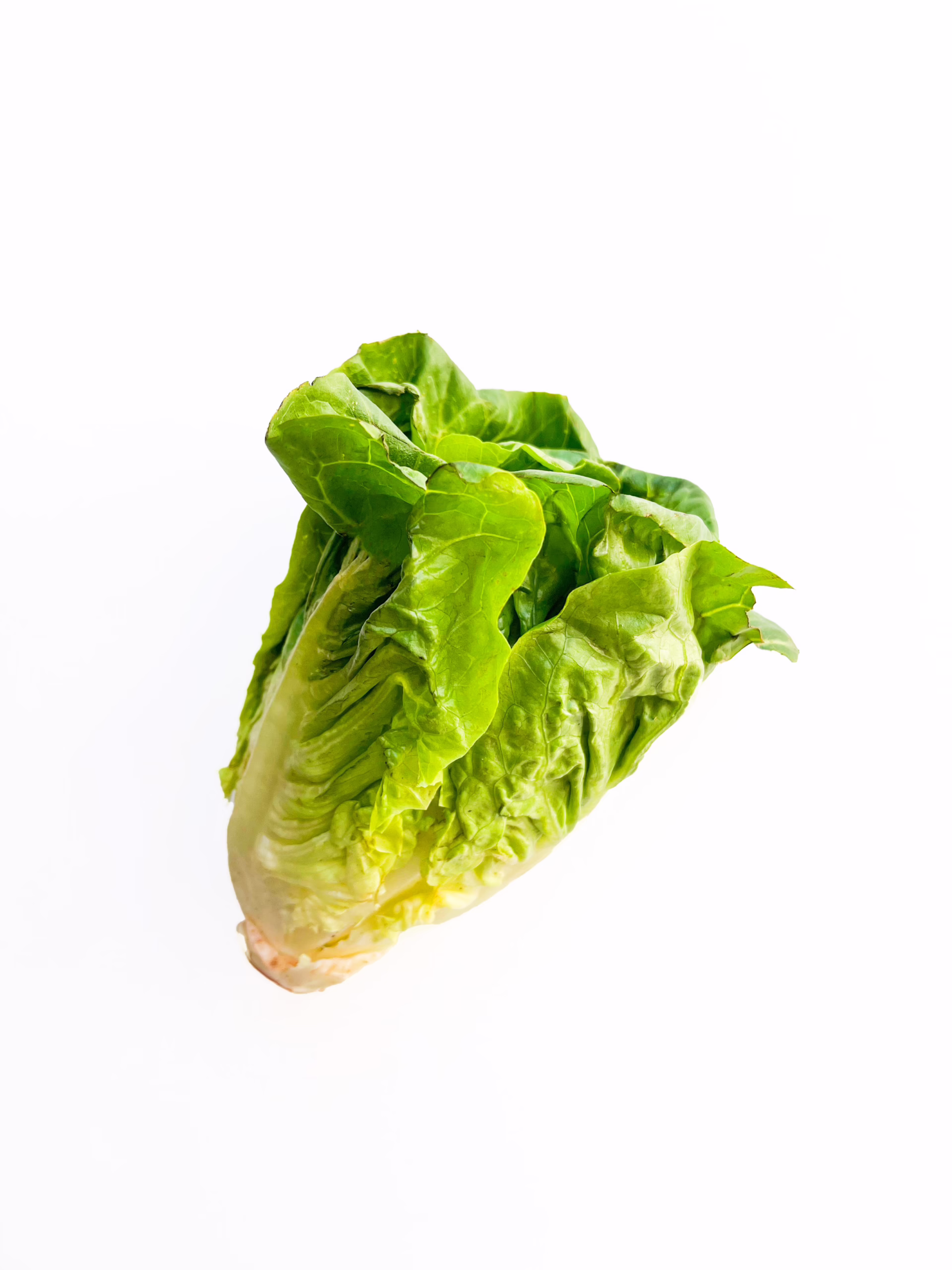 A single head of little gem lettuce with crisp green leaves is shown against a plain white background.