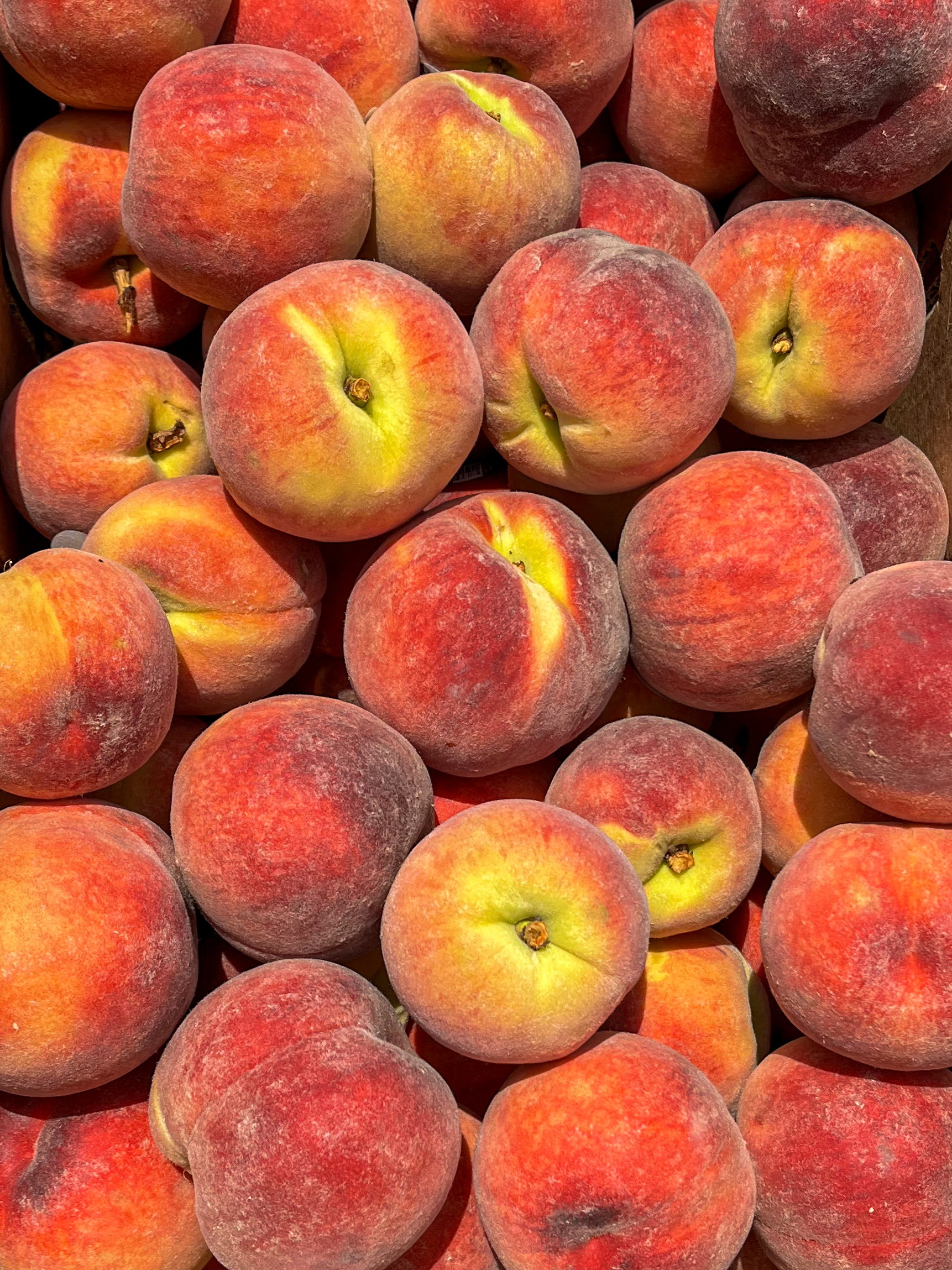 local yellow peaches 1