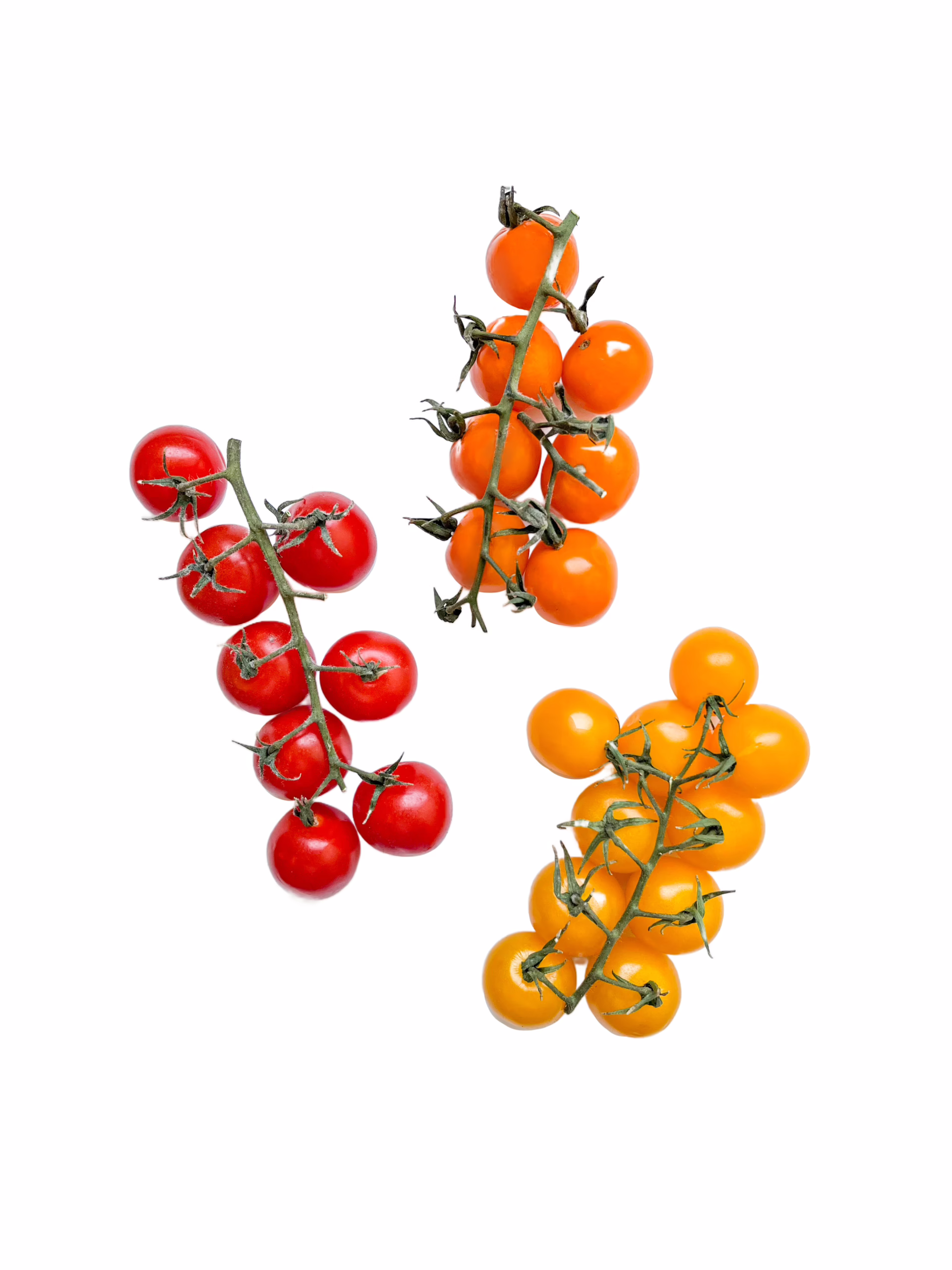 mixed cherry tomatoes on the vine, tomato size chart