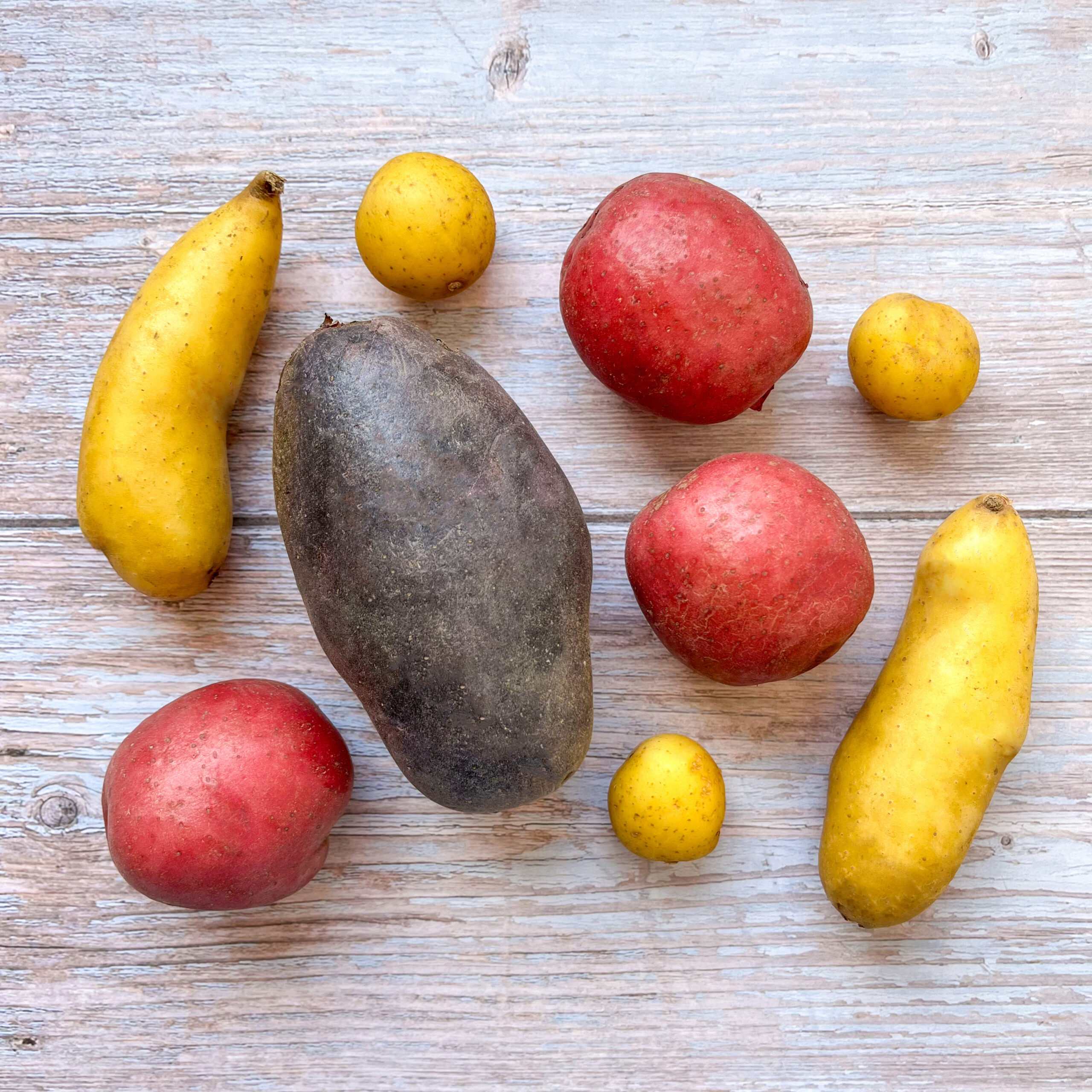 red potatoes size a or b, size b potatoes, potato sizing chart