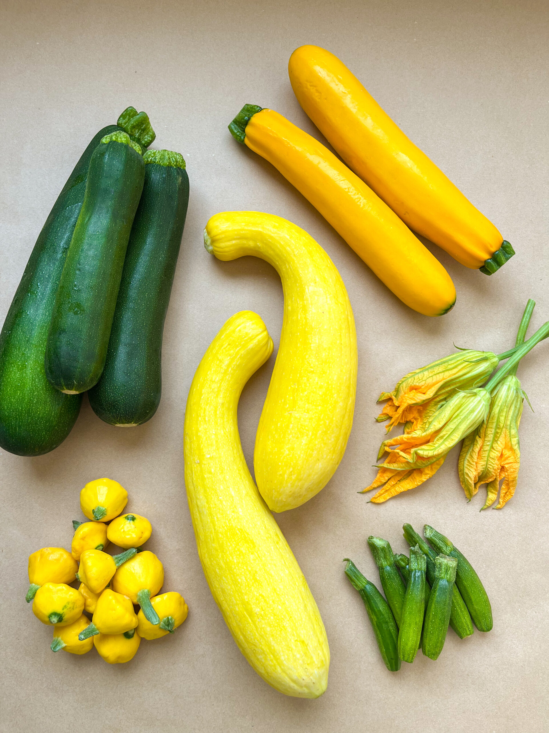 Trieste White Zucchini Seeds – Heirloom Organic Summer Squash – MurraySeedCo