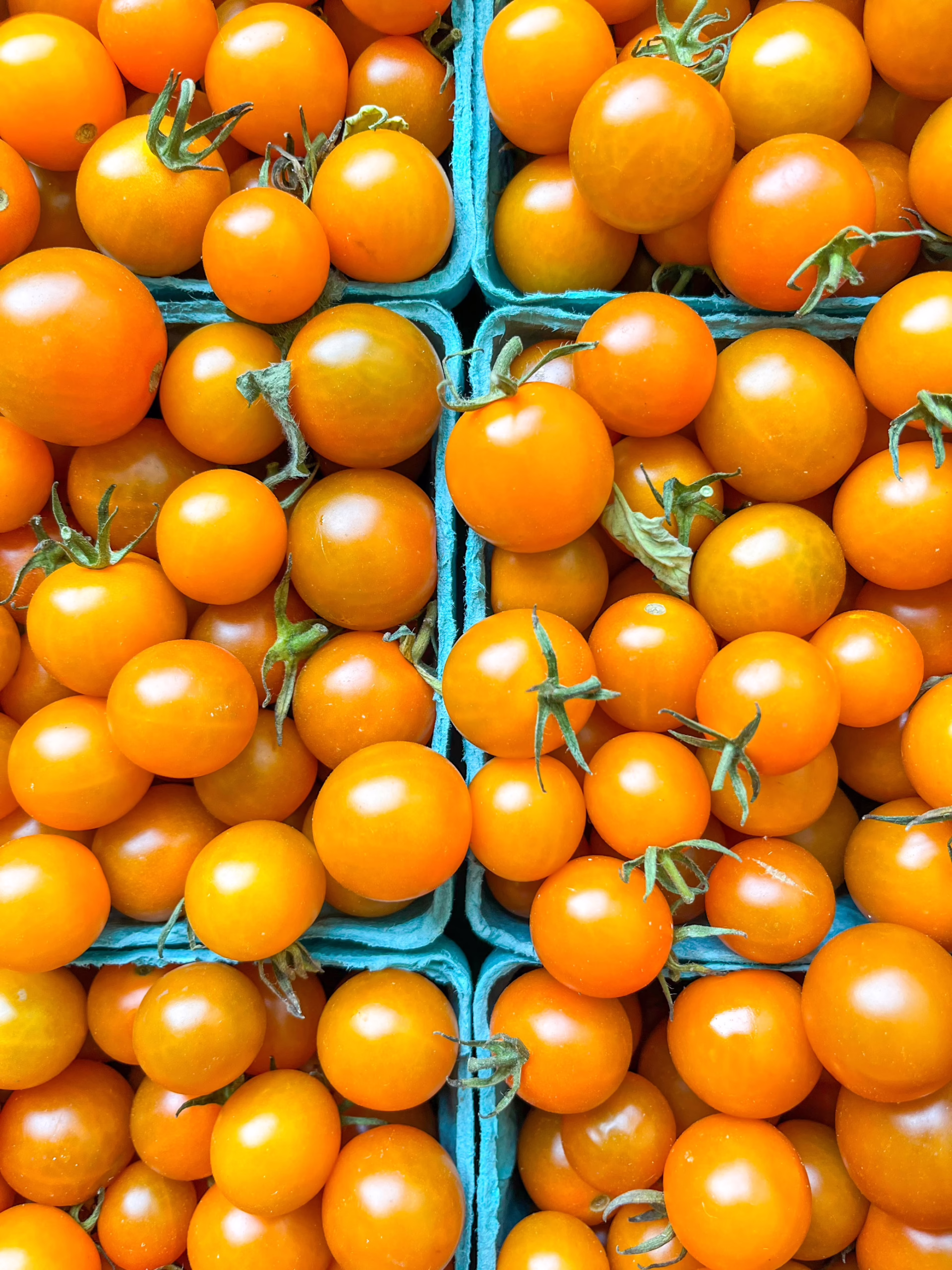 sungold cherry tomatoes, tomato size chart